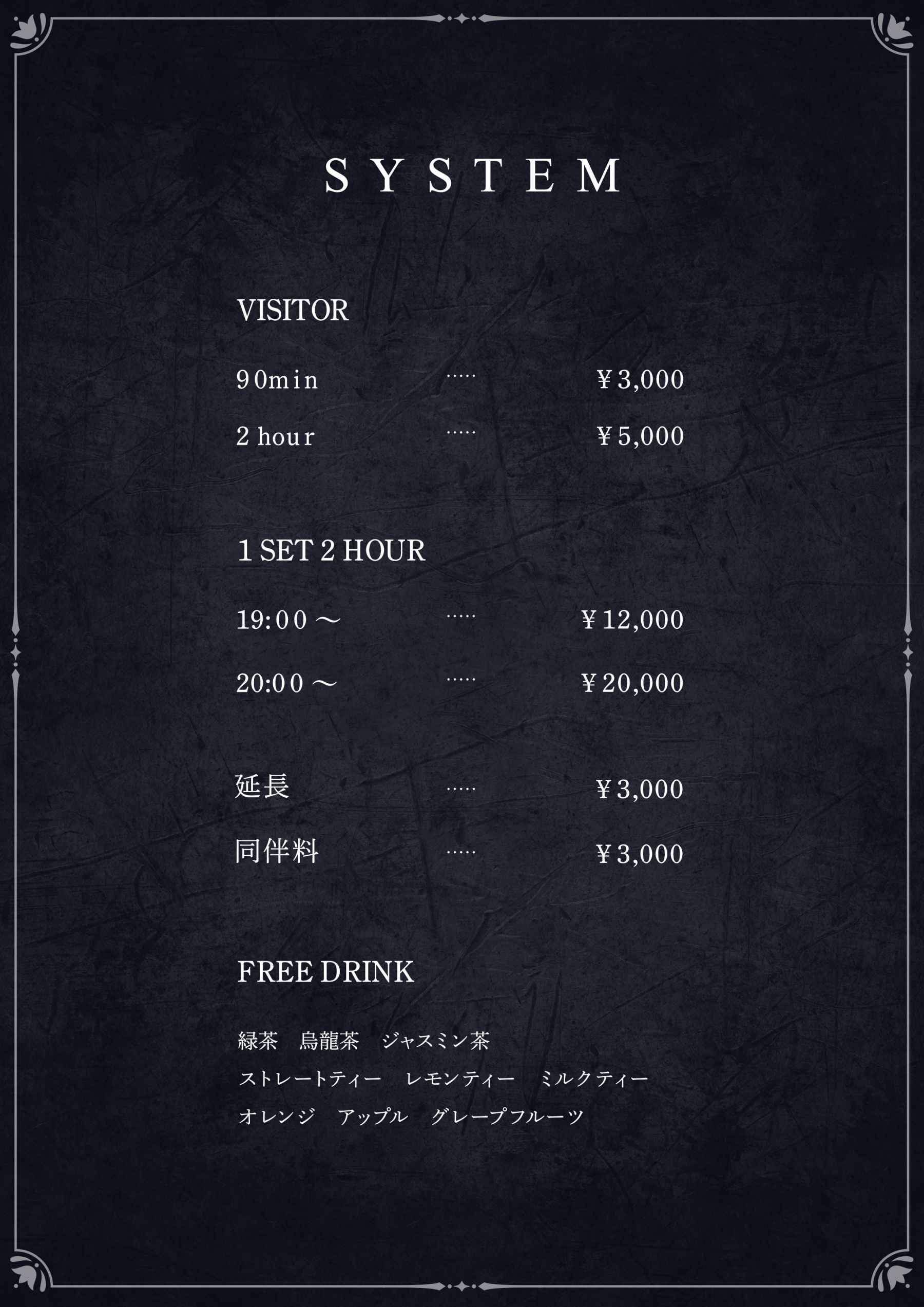 system01